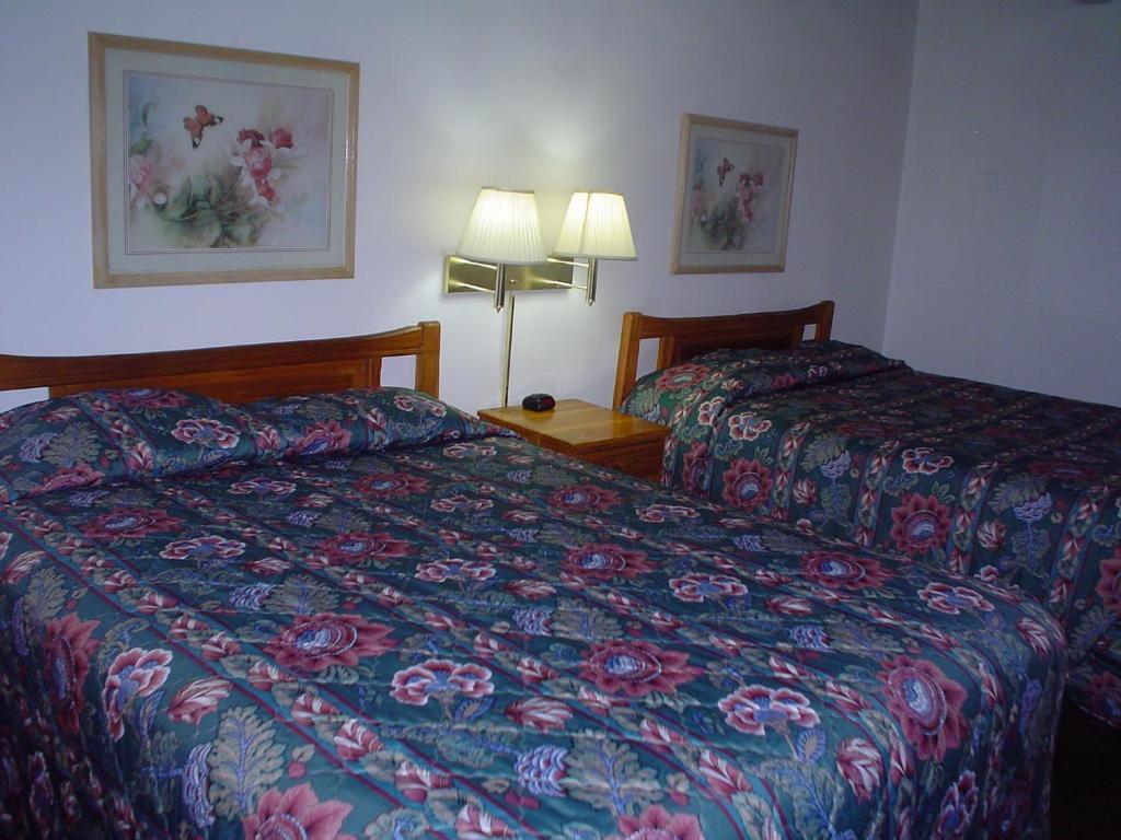 Avenue Motel וונאטצ'י חדר תמונה